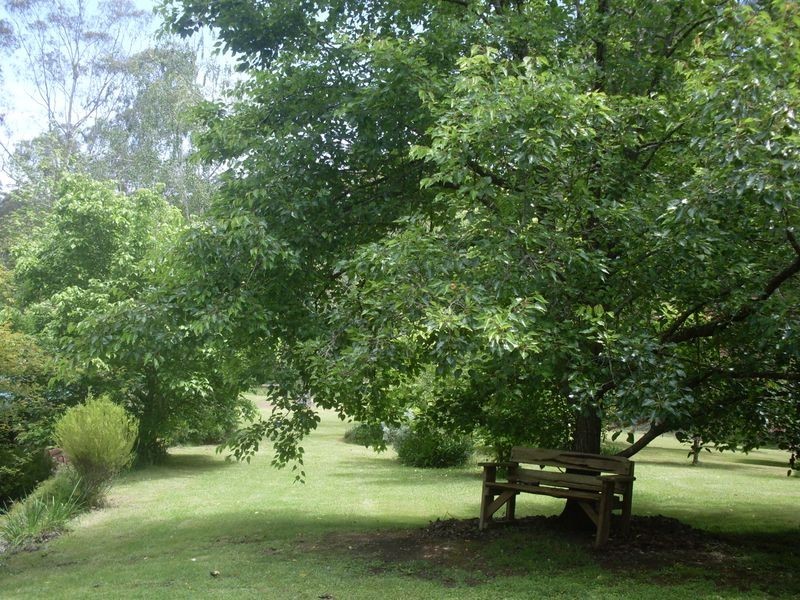 2813 Eurobodalla Road, Nerrigundah NSW 2545