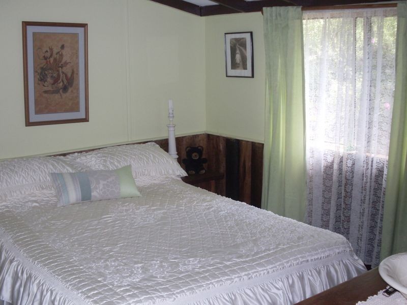 2813 Eurobodalla Road, Nerrigundah NSW 2545