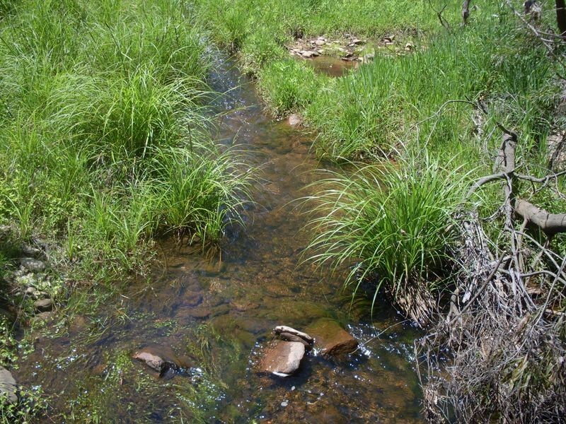 2813 Eurobodalla Road, Nerrigundah NSW 2545