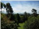 86 Mountain View Road, Moruya NSW 2537