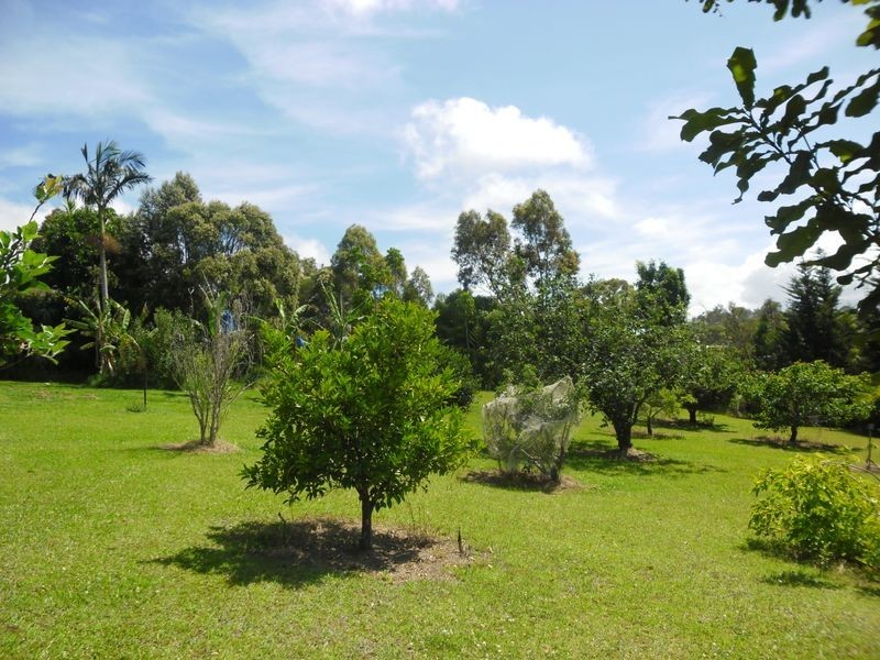 86 Mountain View Road, Moruya NSW 2537