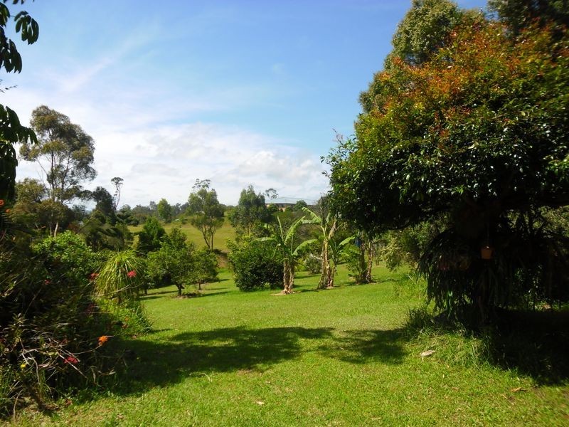 86 Mountain View Road, Moruya NSW 2537