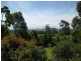 86 Mountain View Road, Moruya NSW 2537