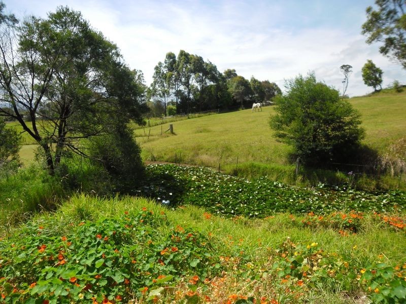 86 Mountain View Road, Moruya NSW 2537