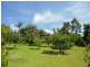 86 Mountain View Road, Moruya NSW 2537