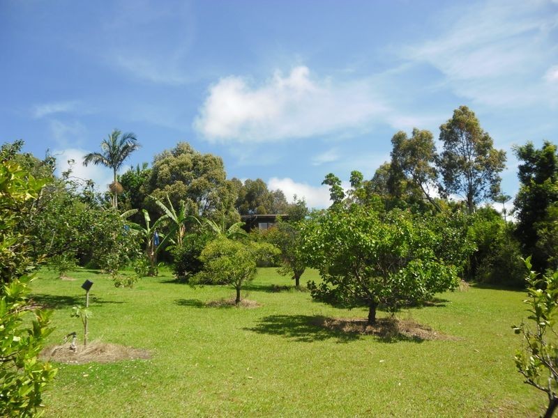 86 Mountain View Road, Moruya NSW 2537