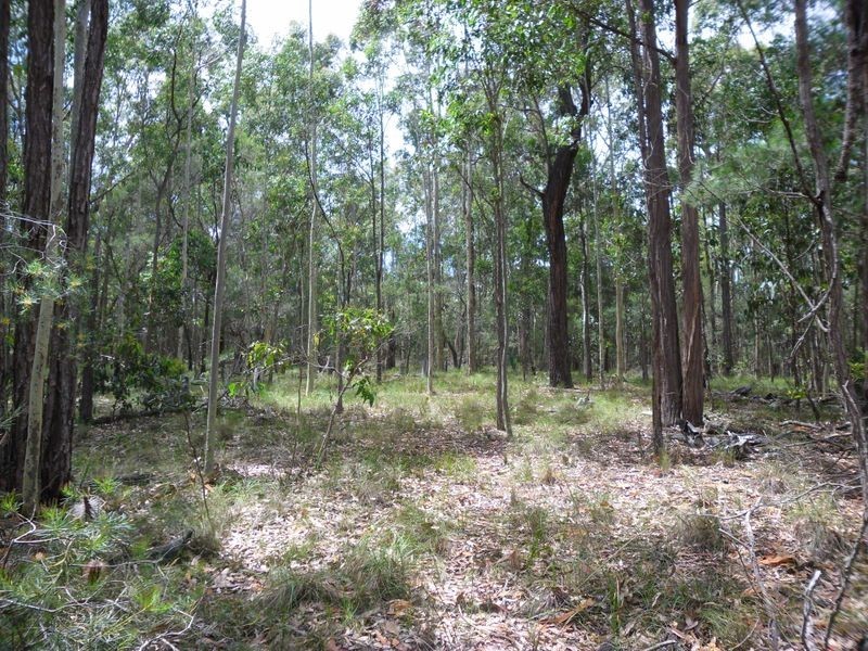 Lot 3 Broulee Road, Broulee NSW 2537