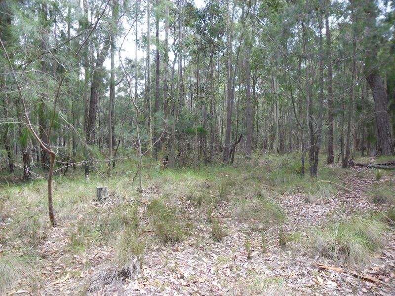 Lot 3 Broulee Road, Broulee NSW 2537