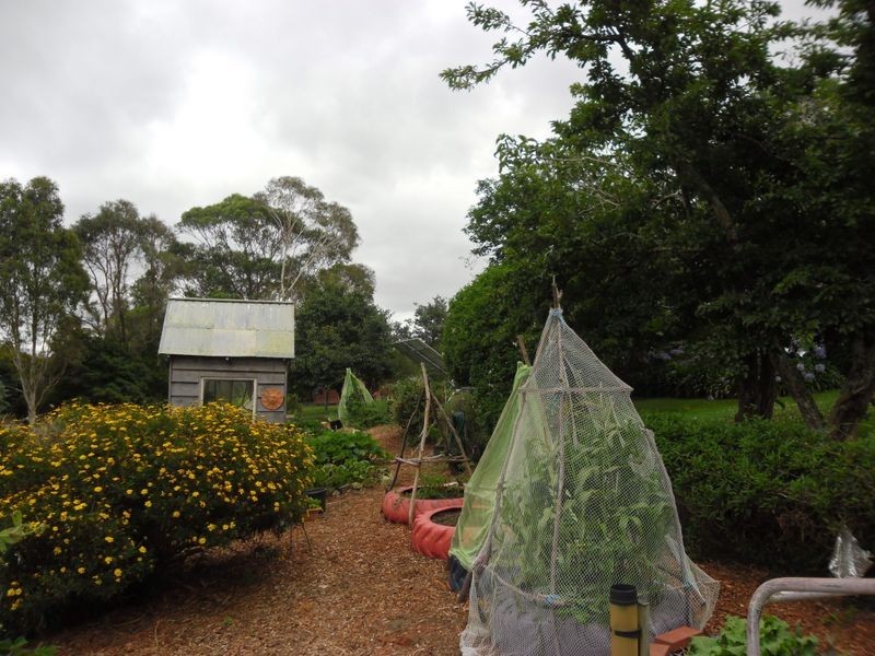 6 Wiltshire Lane, Bodalla NSW 2545
