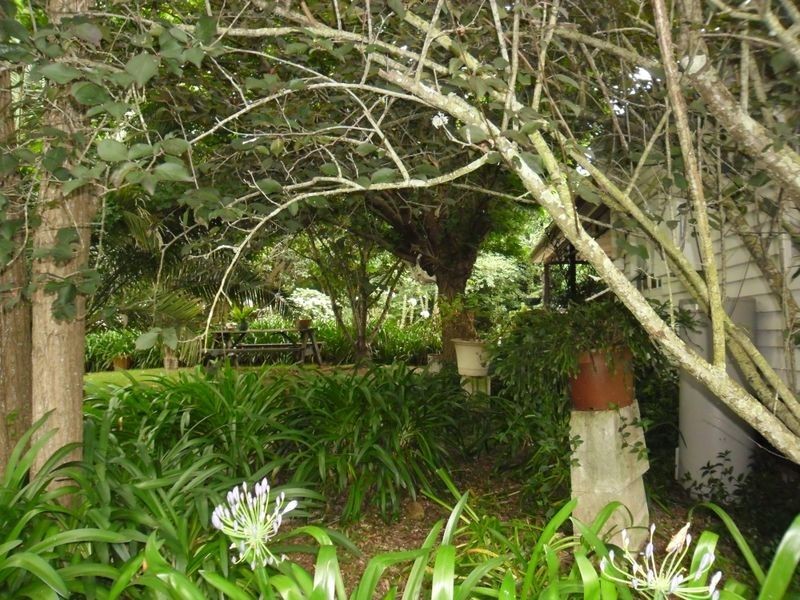 6 Wiltshire Lane, Bodalla NSW 2545