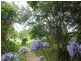 6 Wiltshire Lane, Bodalla NSW 2545