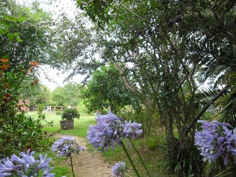 6 Wiltshire Lane, Bodalla NSW 2545