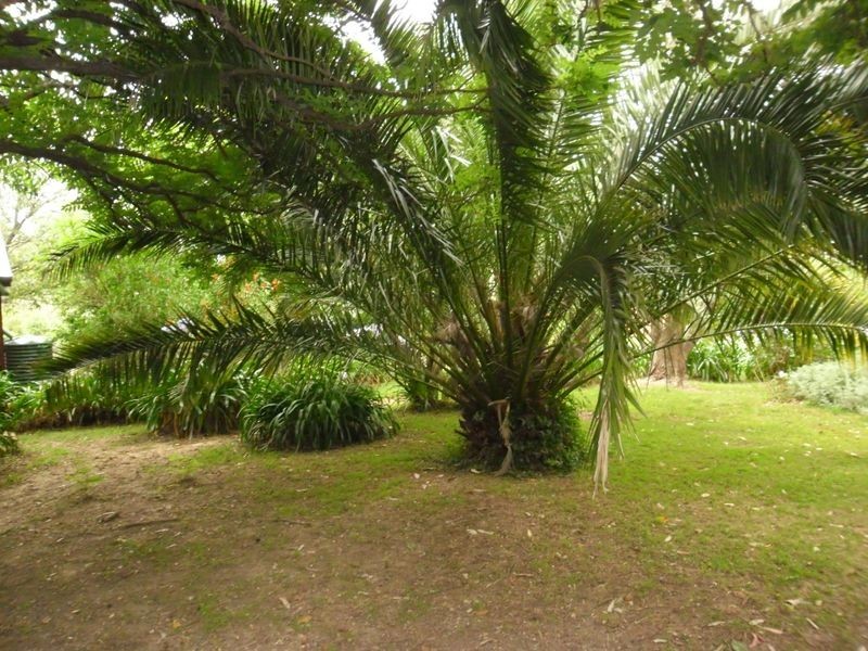 6 Wiltshire Lane, Bodalla NSW 2545
