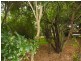 6 Wiltshire Lane, Bodalla NSW 2545