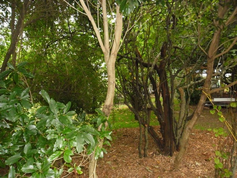 6 Wiltshire Lane, Bodalla NSW 2545