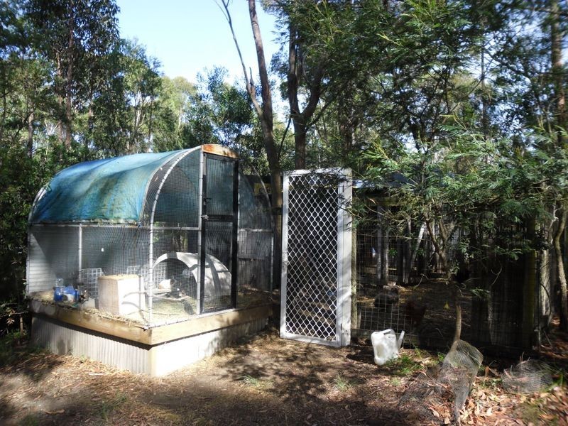 72 Malabar Drive, Moruya NSW 2537