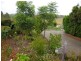 12 Wattlebark Close, Moruya NSW 2537