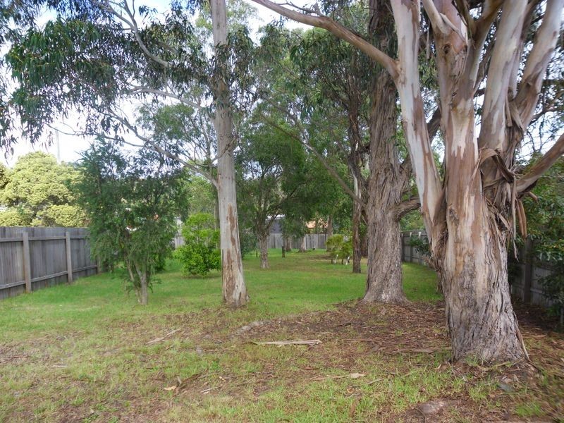 1 Jersey Road, Moruya NSW 2537