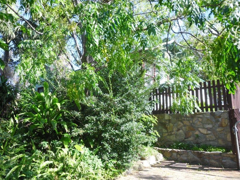 35 Evans Street, Moruya NSW 2537
