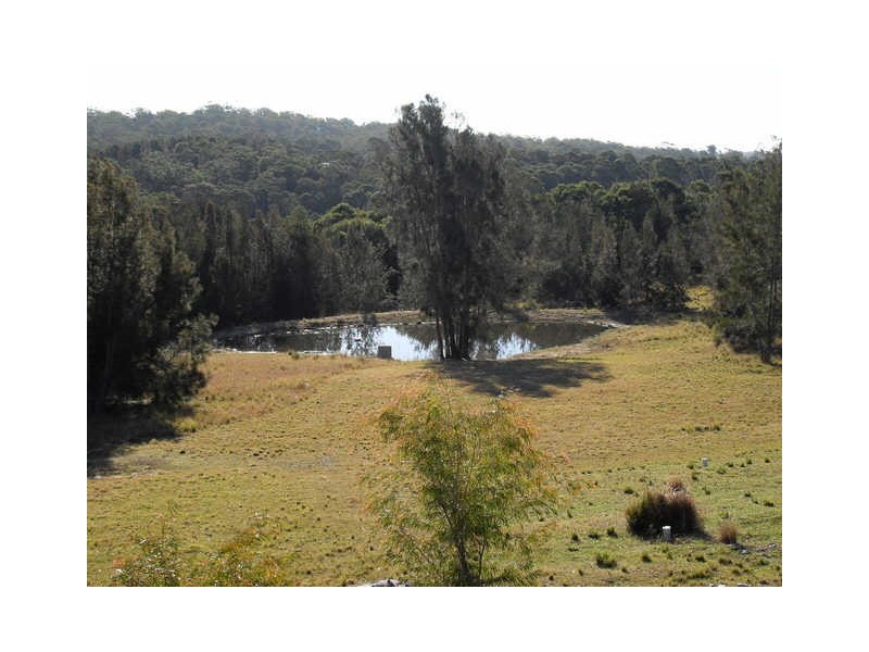 49 Arinya Place, Bingie NSW 2537