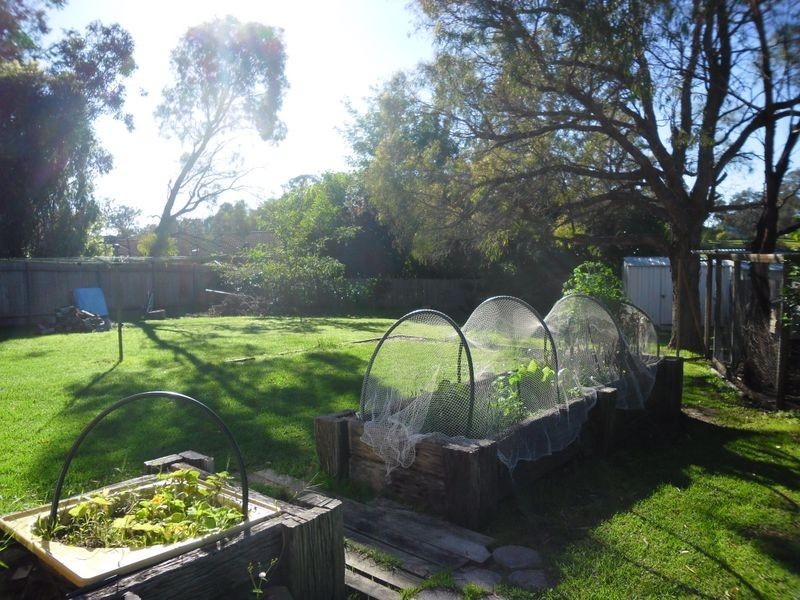 24 Haslingden Street, Moruya NSW 2537