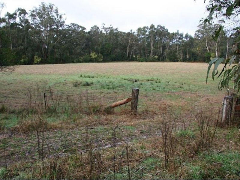 411 Wamban Road, Moruya NSW 2537