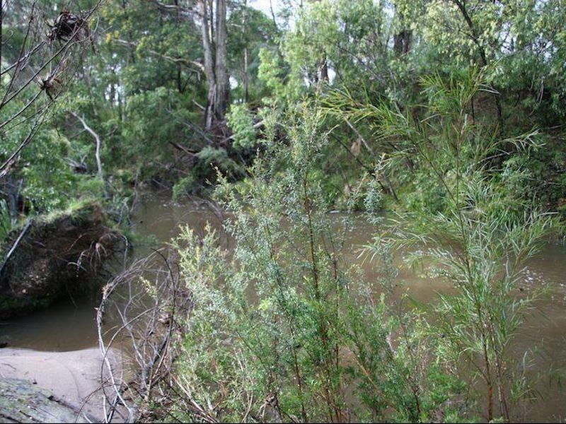 411 Wamban Road, Moruya NSW 2537