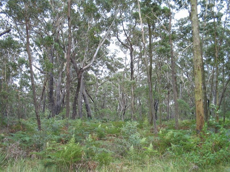 Lot 2 & 3 Donnelly Drive, Moruya NSW 2537