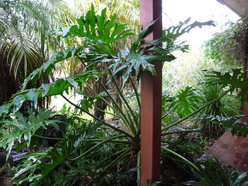 3 Craig Mostyn Place, Moruya NSW 2537