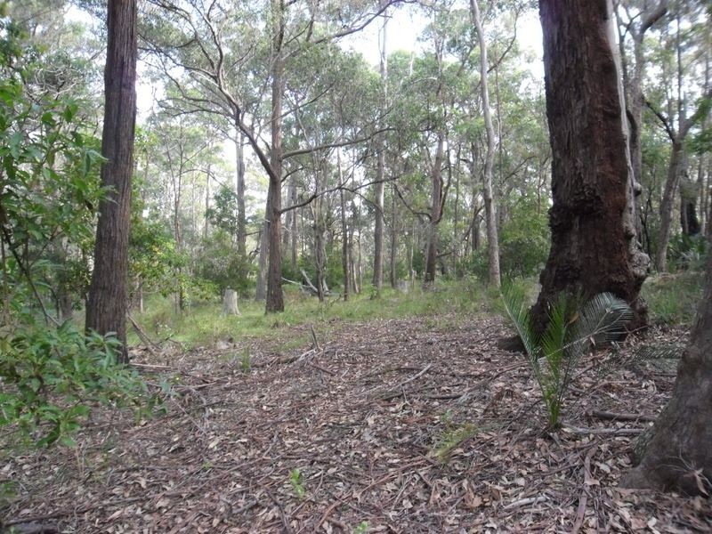 Lot 23 & 2 Congo Road, Congo NSW 2537