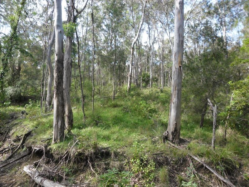 Lot 23 & 2 Congo Road, Congo NSW 2537