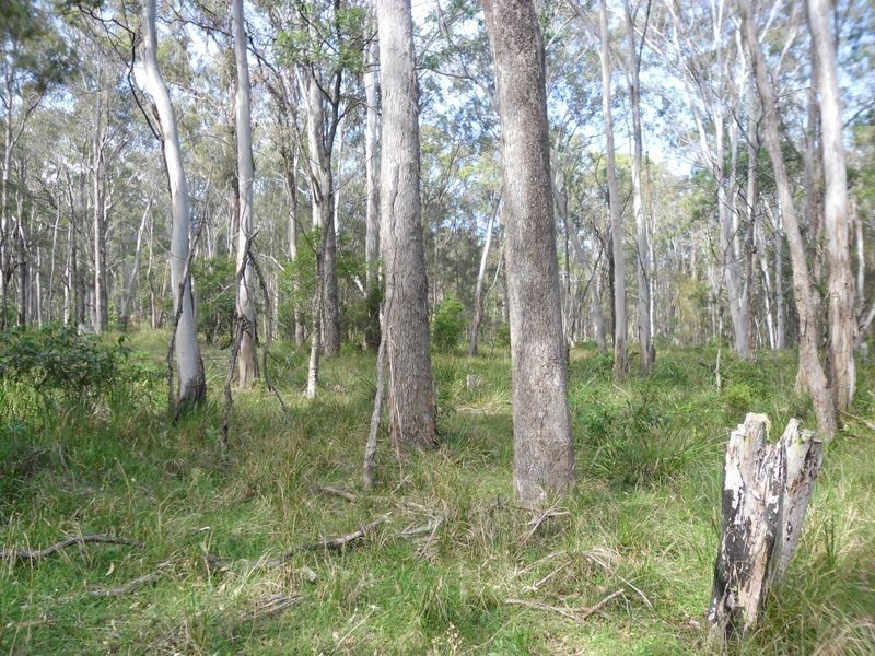 Lot 23 & 2 Congo Road, Congo NSW 2537