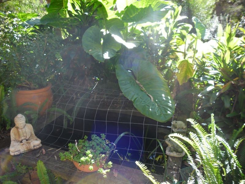 9 Halyard Drive, Moruya Heads NSW 2537