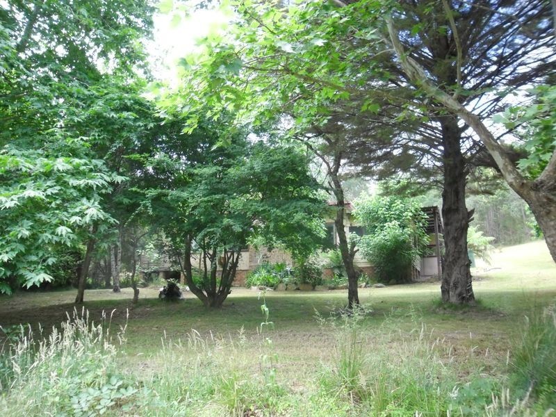 924 Nerrigundah Mtn Road, Nerrigundah NSW 2545