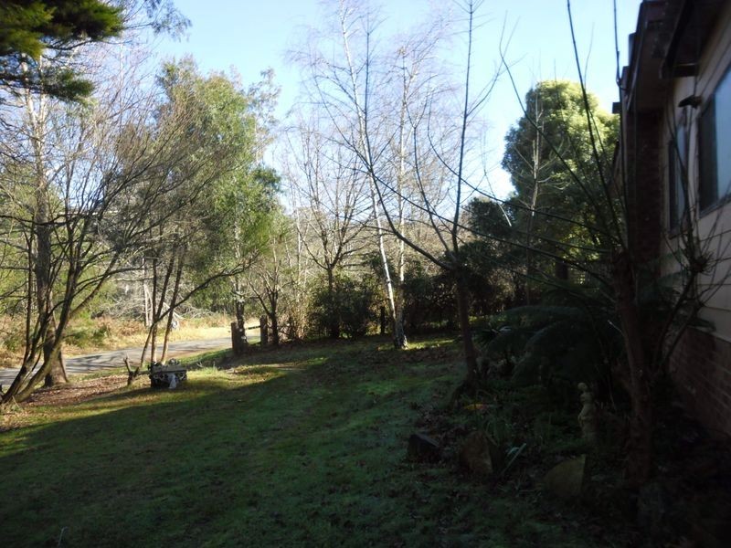 924 Nerrigundah Mtn Road, Nerrigundah NSW 2545