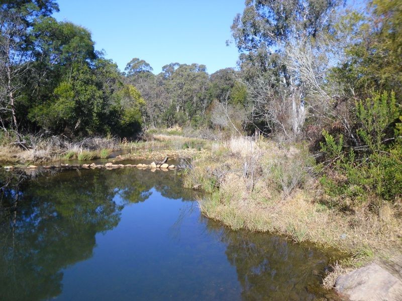 924 Nerrigundah Mtn Road, Nerrigundah NSW 2545