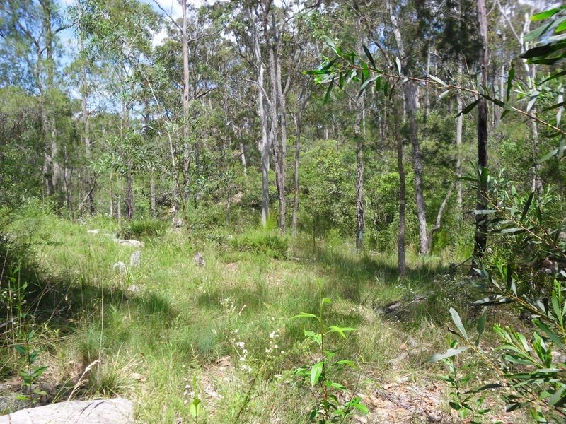 Lot 117 Pollwombra Road, Moruya NSW 2537
