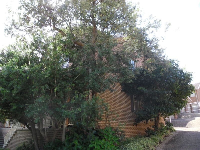 Unit 22/26-28 Native Way, Moruya Heads NSW 2537