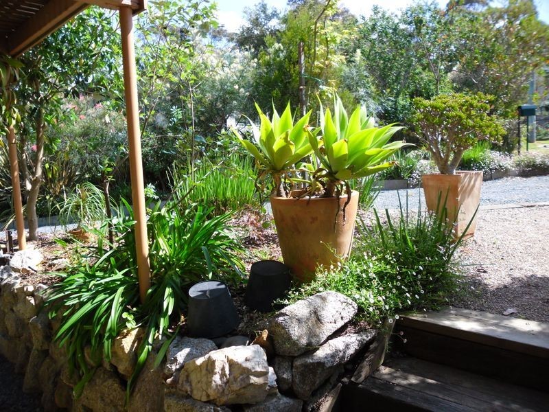 11 Grove Place, Moruya Heads NSW 2537