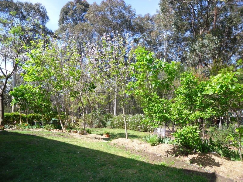 11 Grove Place, Moruya Heads NSW 2537