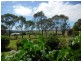53 Mountain View Road, Moruya NSW 2537