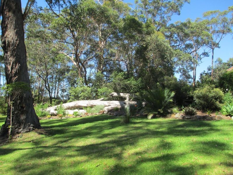 479 Bingie Road, Bingie NSW 2537