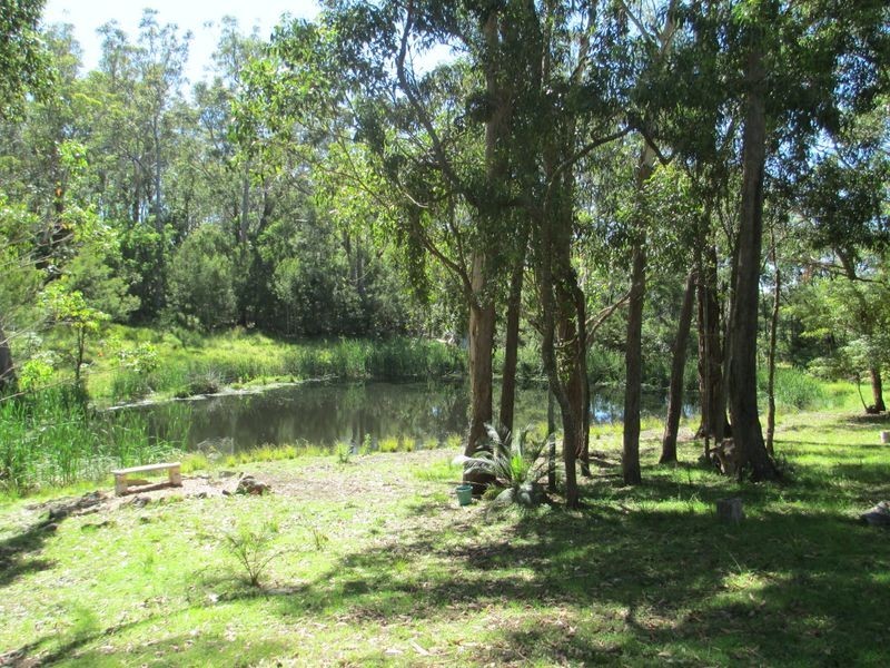 479 Bingie Road, Bingie NSW 2537