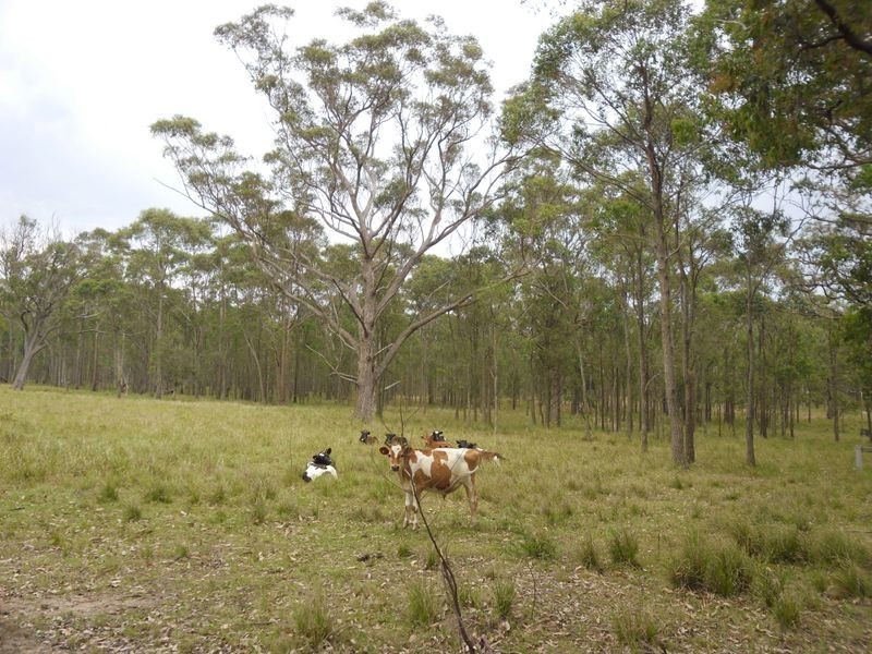 3-9 Noads Drive, Moruya NSW 2537