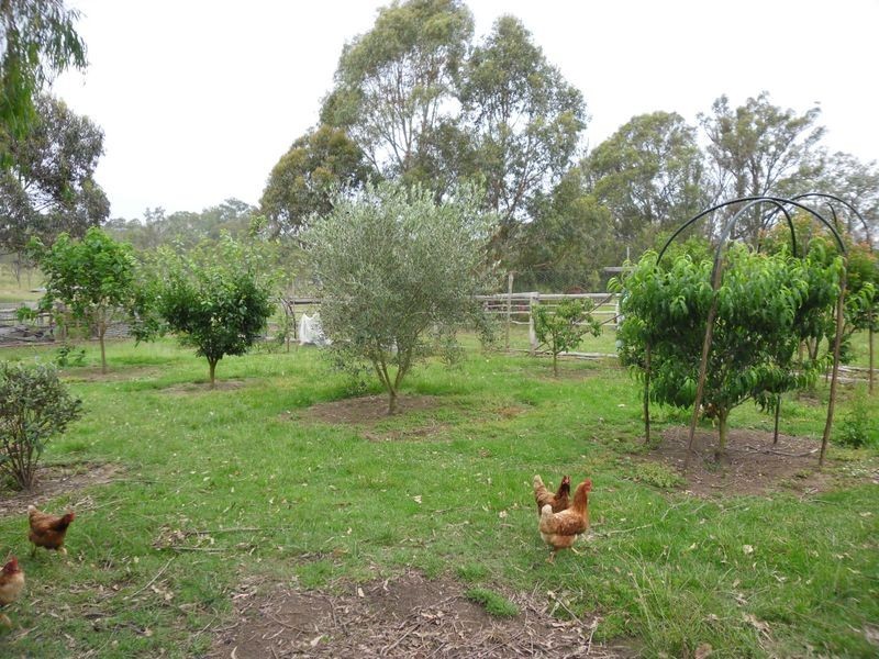 3-9 Noads Drive, Moruya NSW 2537