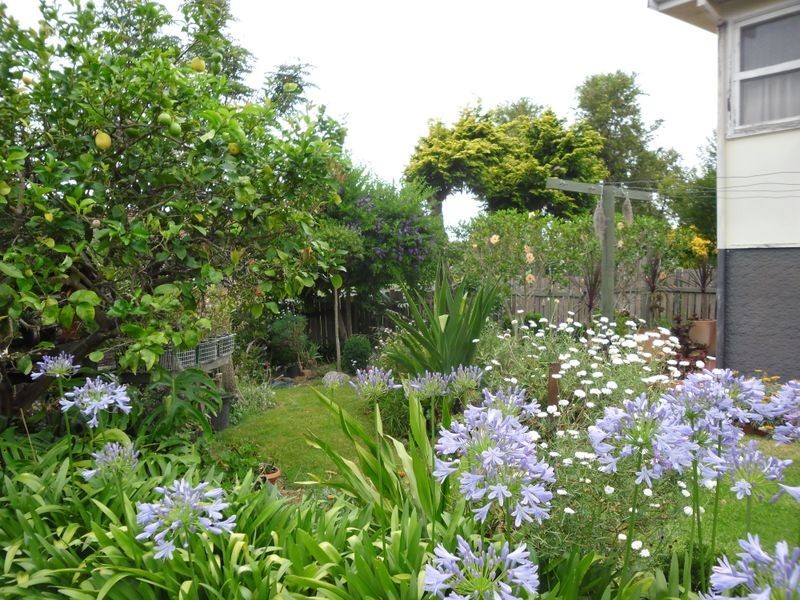 26 Murray Street, Moruya NSW 2537