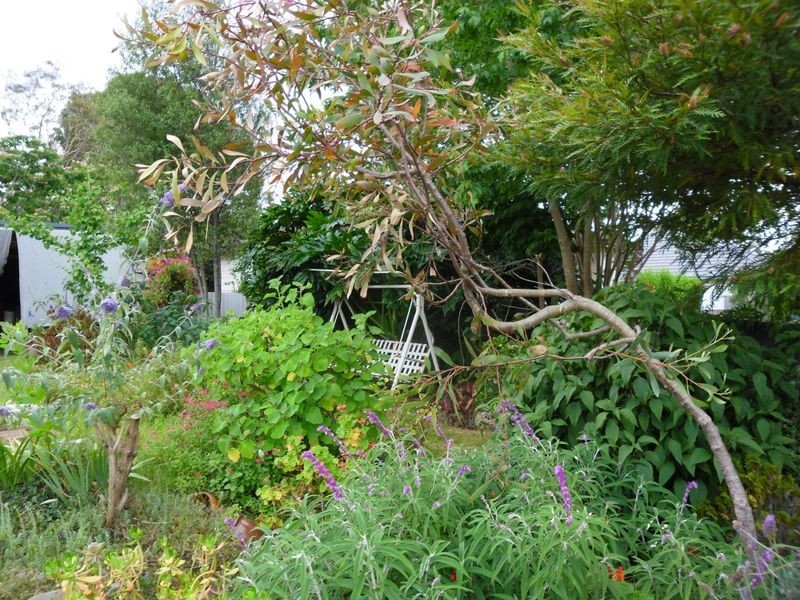 26 Murray Street, Moruya NSW 2537