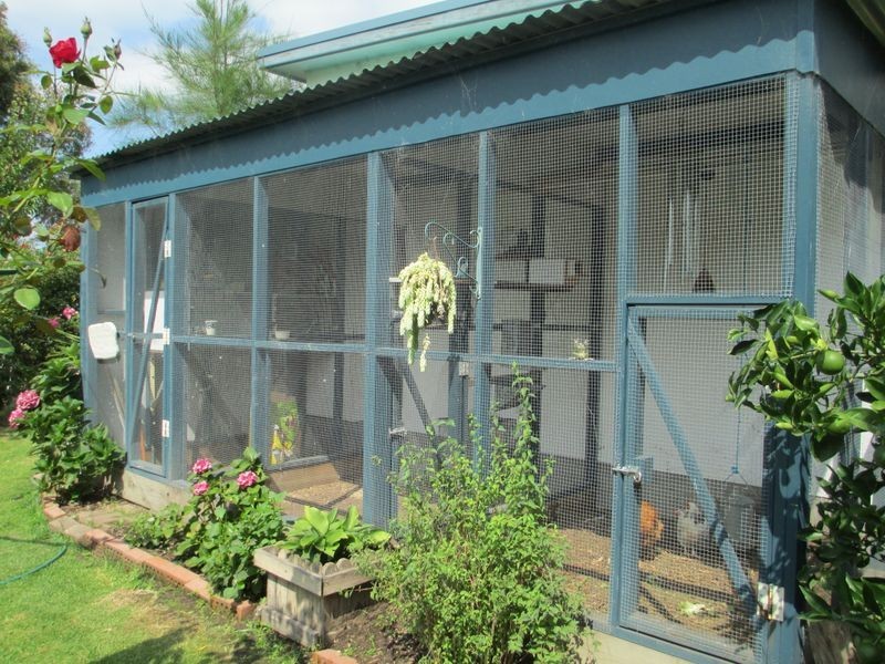 24 Shore Street, Moruya NSW 2537