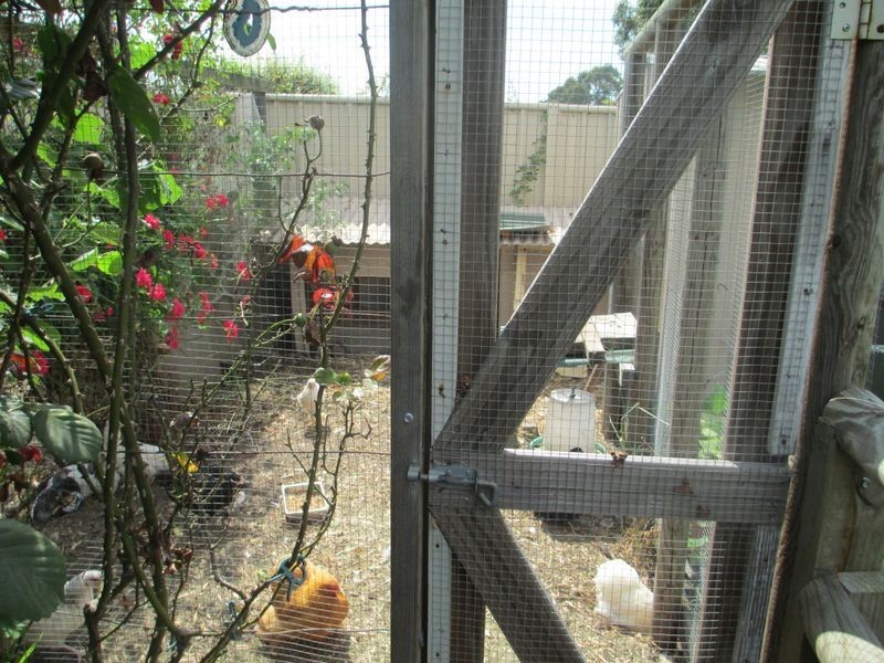 24 Shore Street, Moruya NSW 2537