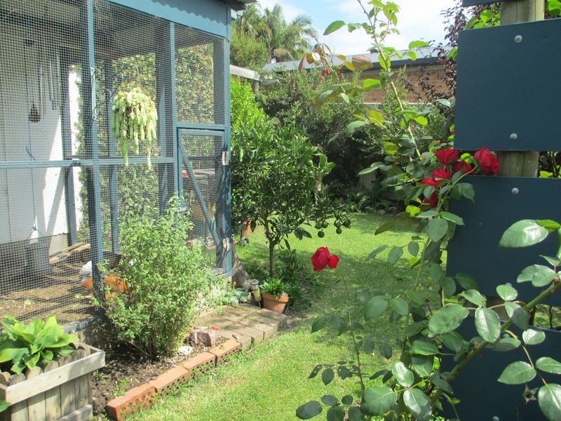 24 Shore Street, Moruya NSW 2537